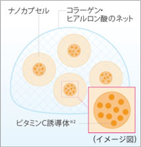 ビタミンC誘導体をカプセル化