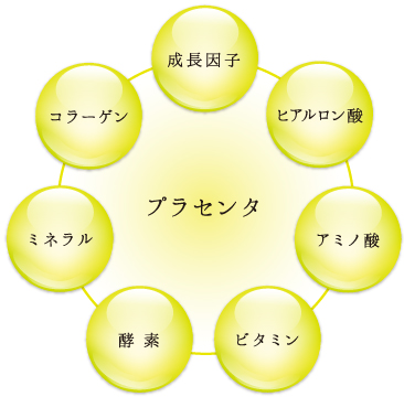 プラセンタ