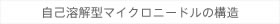 自己溶解型マイクロニードルの構造