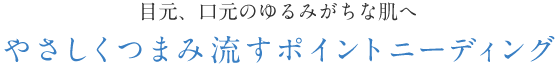 やさしくつまみ流すポイントニーディング