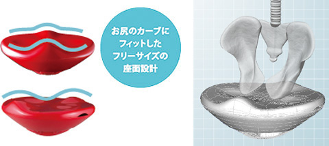 骨盤3Dポケット