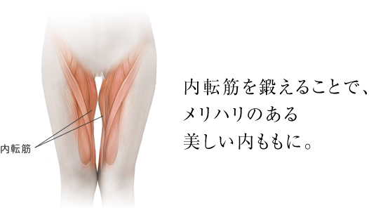 内転筋を鍛えることで、メリハリのある美しい内ももに。