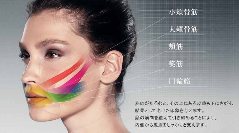 New Goods Free Shipping Mtg Facial Fitness Pao Black