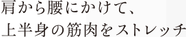 肩から腰にかけて、上半身の筋肉をストレッチ