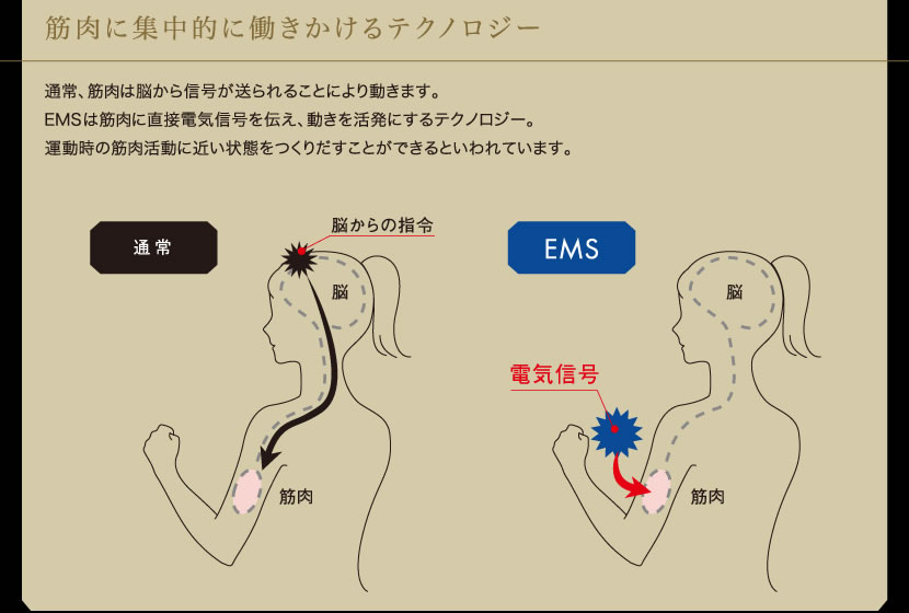 筋肉に集中的に働きかけるテクノロジー