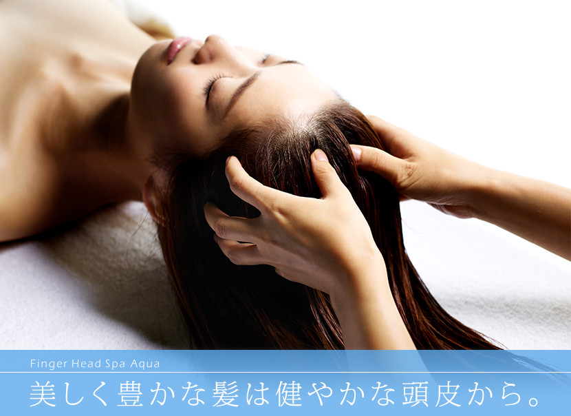 美しく豊かな髪は健やかな頭皮から。