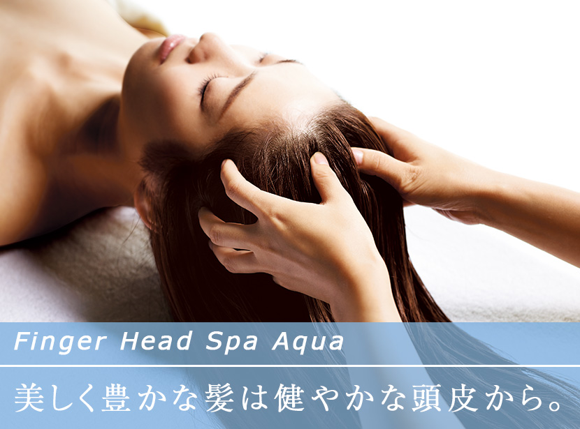 Inbeaute Fingerheadspa Aqua インボーテ フィンガーヘッドスパ