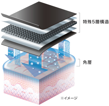 特殊5層構造
