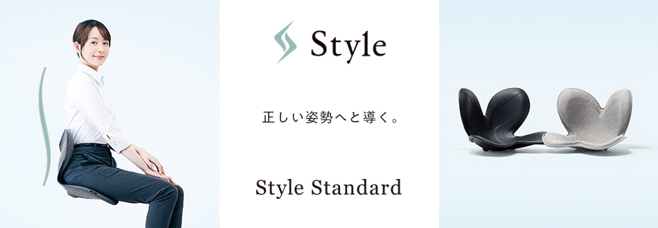 Style Standard