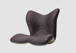 Style PREMIUM 発売