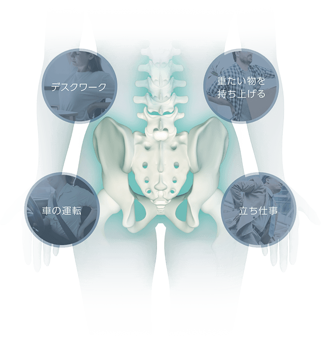 Style BX Lumbar（スタイルビーエックスランバー） | Style | BRANDS 