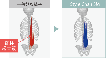 脊柱起立筋の筋活動の比較