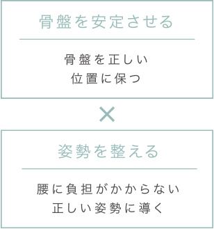 骨盤を安定させる（骨盤を正しい位置に保つ）、姿勢を整える（腰に負担がかからない正しい姿勢に導く）