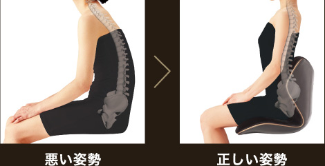 Style PREMIUM DX（スタイルプレミアムデラックス）| Style | BRANDS 