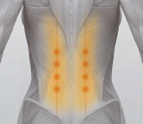 Style SHIATSU スタイルシアツ | Style | BRANDS（ブランド一覧