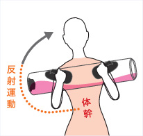 TAIKAN STREAM（タイカンストリーム）| BRANDS（ブランド一覧） | 株式会社MTG