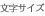 文字サイズ
